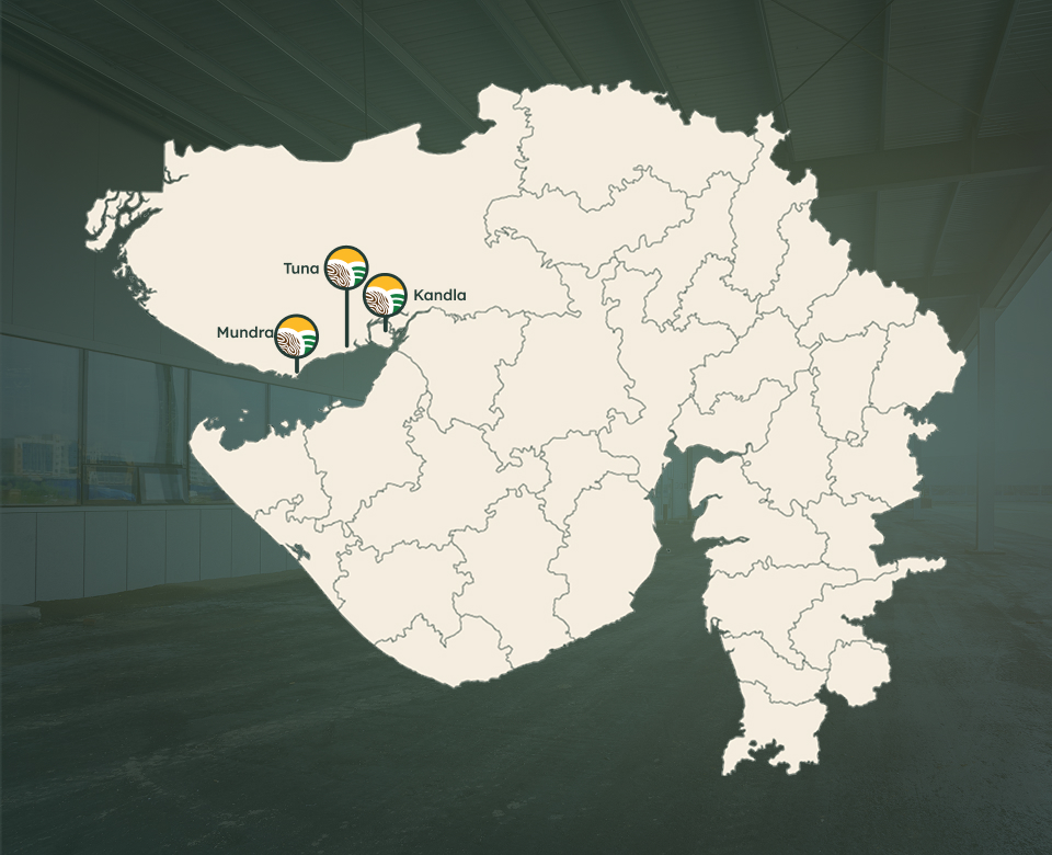 Warehouse in Mundra, Kandla & Tuna Port, Gujarat, India