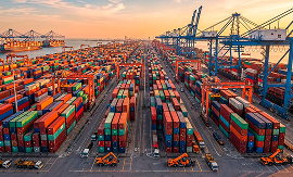 Import & Export Businesses